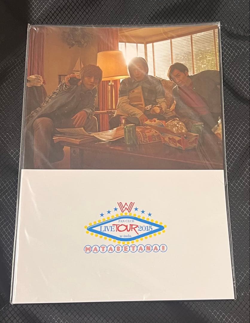 w-inds. FCLT 2015 DVD(FC限定盤)&ライト、パンフレット
