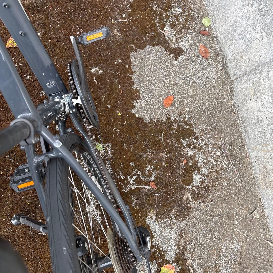 自転車本体 orionbeer_gokugoku