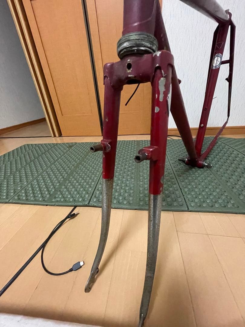 ヒラメ　ランドナー