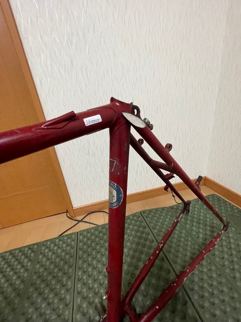 ヒラメ　ランドナー
