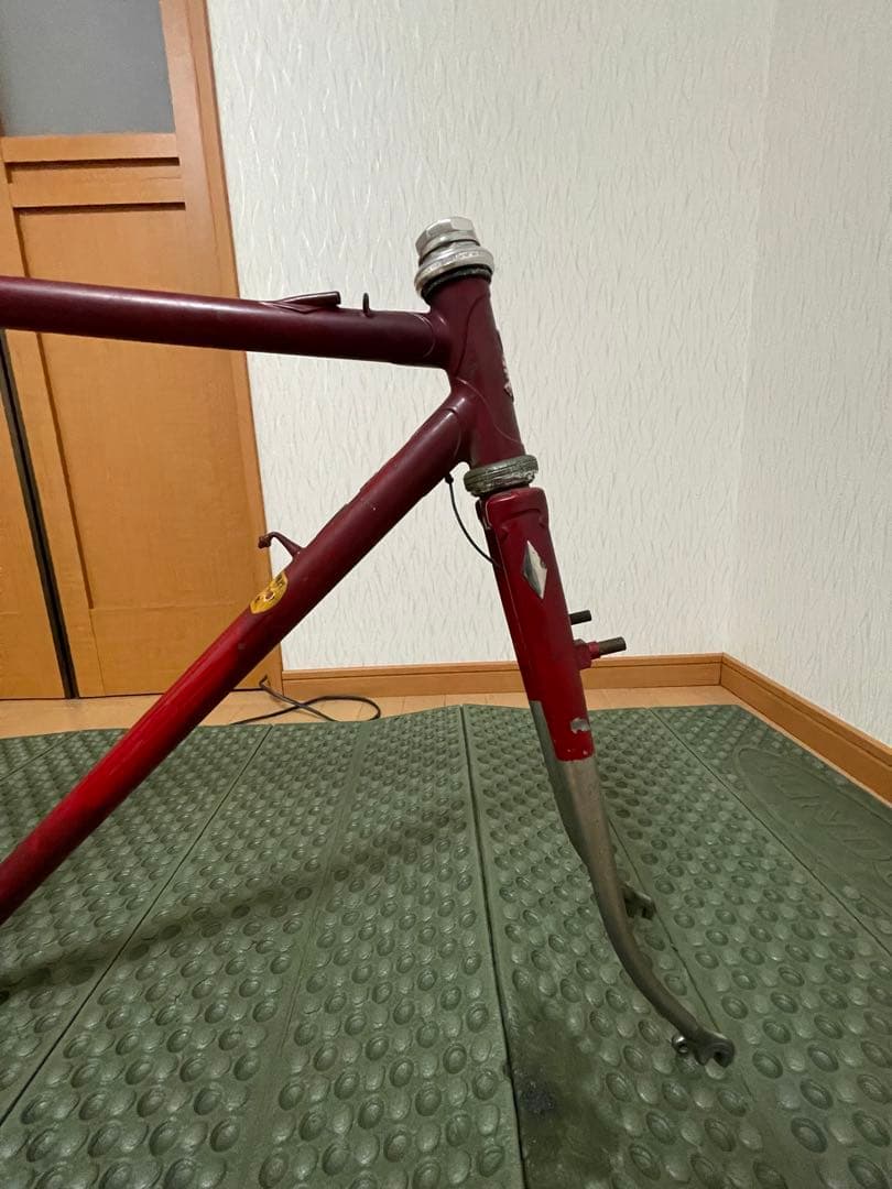 ヒラメ　ランドナー