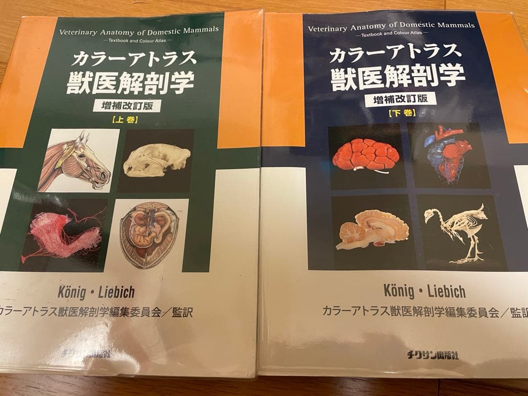 カラーアトラス獣医解剖学　上巻下巻セット