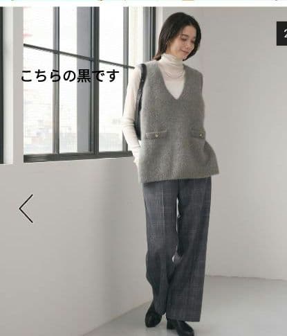 ✦極美品人気完売品✦グリーンレーベル　フォックスヘアリーニットベスト 黒