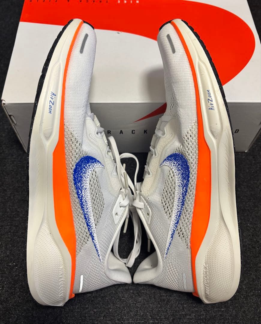 Nike ペガサス 41 ブループリント 極美品【28.0cm】Pegasus