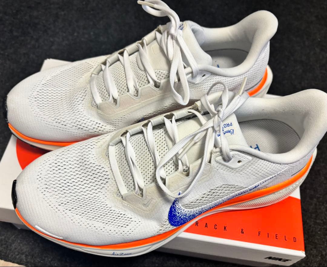 Nike ペガサス 41 ブループリント 極美品【28.0cm】Pegasus