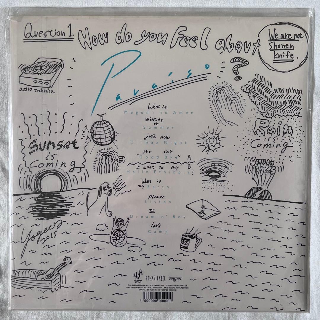 yogee new waves PARAISO オリジナル盤レコード