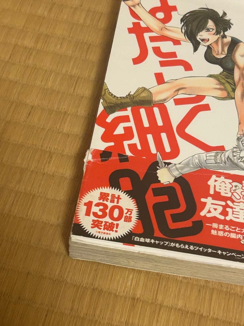 はたらく細胞+関連書籍 20冊セット