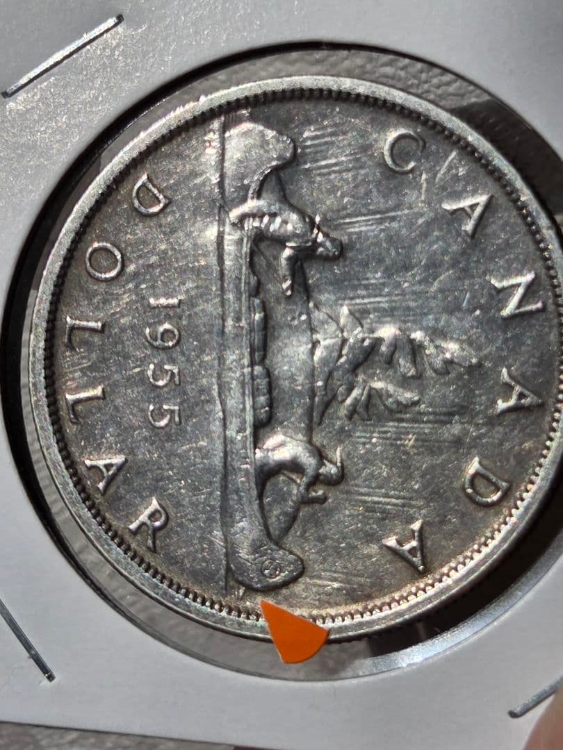 (稀少なバラエティ)　カナダ連邦　エリザベス2世　1 ドル銀貨　1957