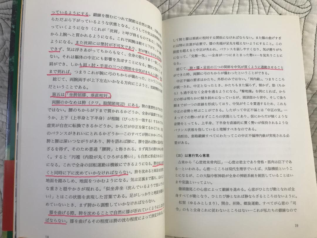 「陳式心意混元太極拳: 馮志強真伝」 馮志強