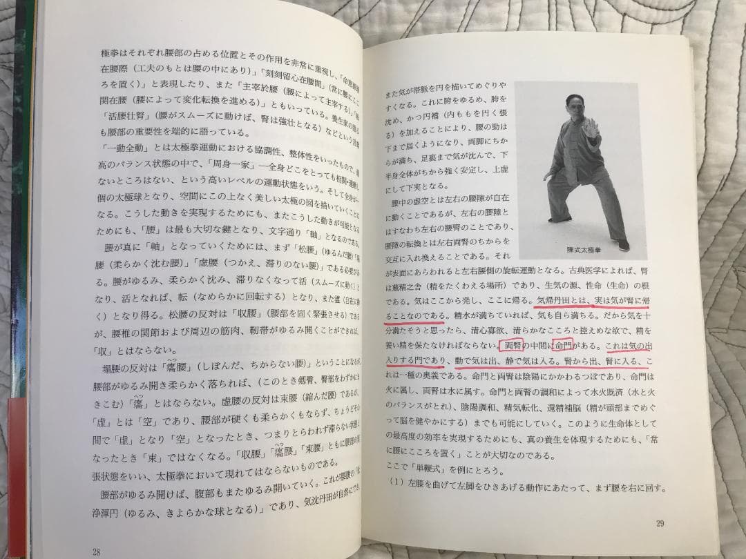 「陳式心意混元太極拳: 馮志強真伝」 馮志強