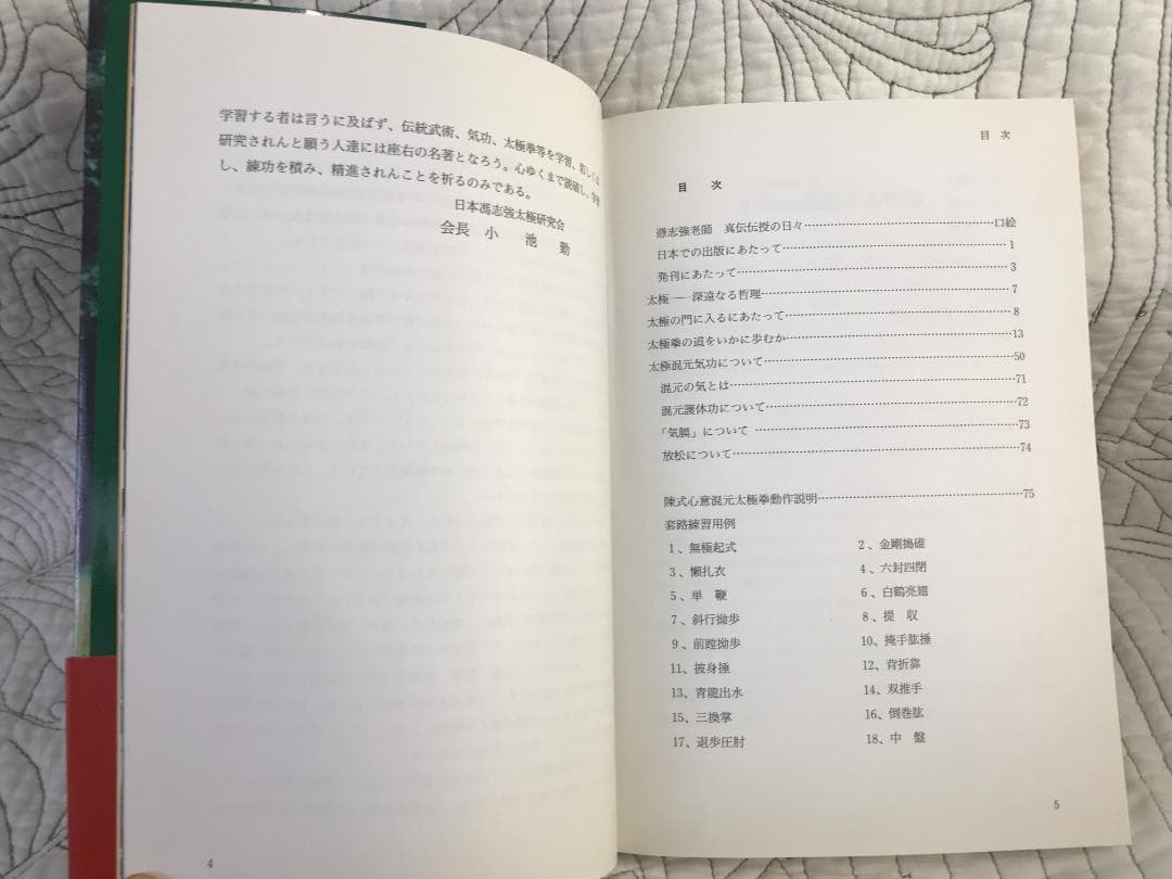 「陳式心意混元太極拳: 馮志強真伝」 馮志強