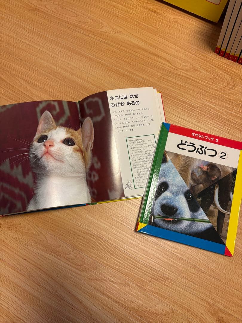 家庭保育園　図鑑　なぜなにブック　22冊