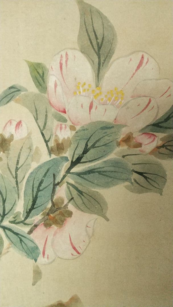 南画家 滝和亭 花鳥画 水仙椿 紙本
