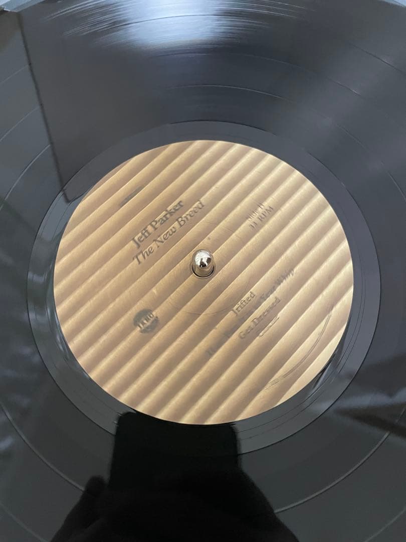 Jeff Parker The New Breed LP ジェフパーカー