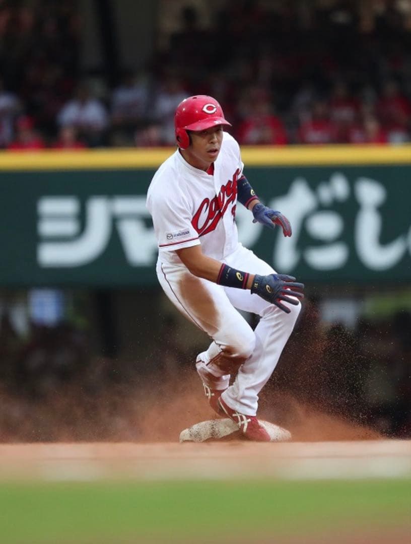 広島カープ　野間峻祥 #37　バット NPBマーク 支給品　実使用