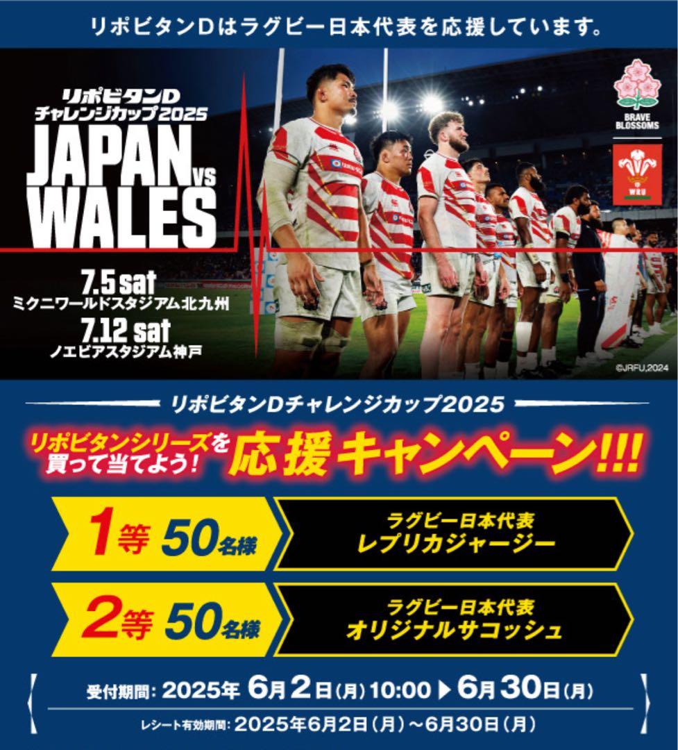 ラグビー　日本代表　新レプリカ　ジャージ　Mサイズ　2025