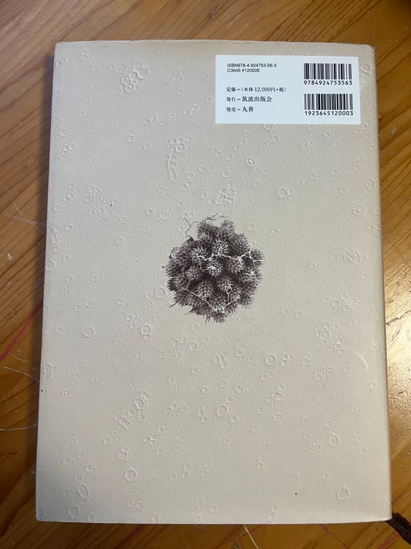 微生物の世界 The World of Microorganisms