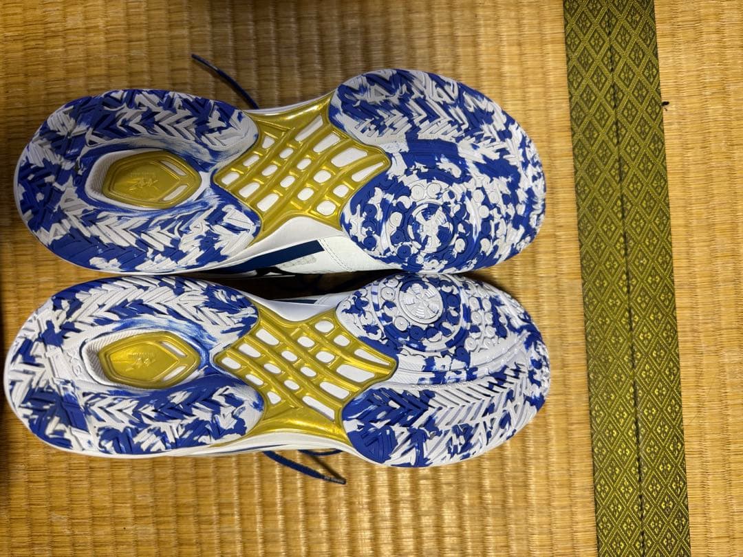 【限定品】ミズノ ウェーブクロー4 fit 25.0cm
