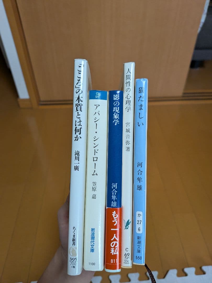 心理臨床大事典 改訂版　その他　心理学参考書