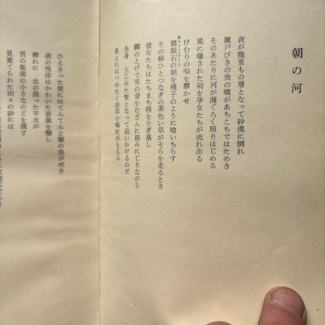 朝の河 天沢退二郎 詩集