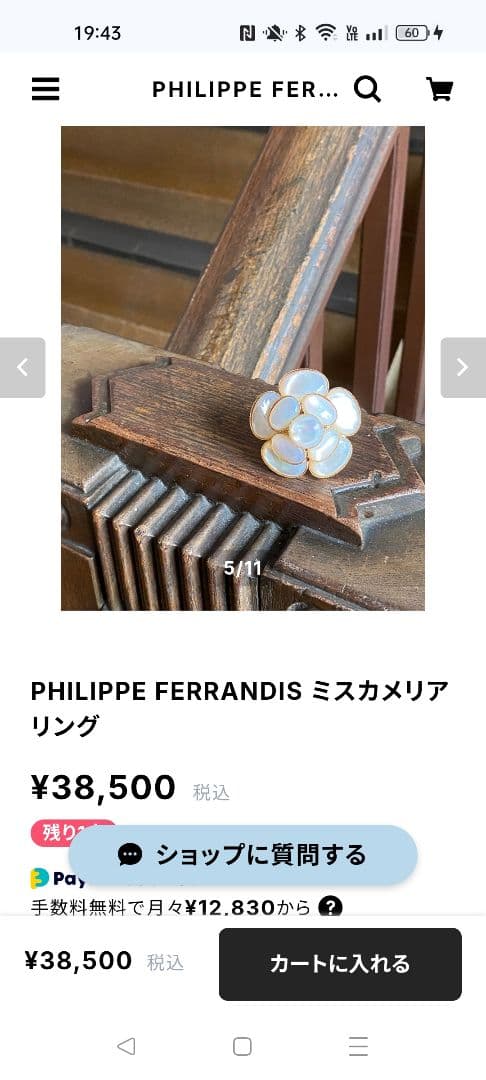 マミィ　 フィリップ・フェランディス　カメリアリング