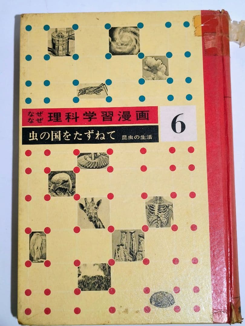 理系脳？「なぜなぜ理科学習漫画」シリーズ　全12巻中11巻 (第4巻が欠落)