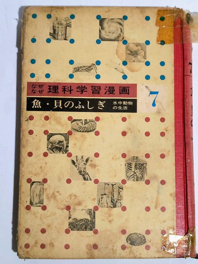 理系脳？「なぜなぜ理科学習漫画」シリーズ　全12巻中11巻 (第4巻が欠落)