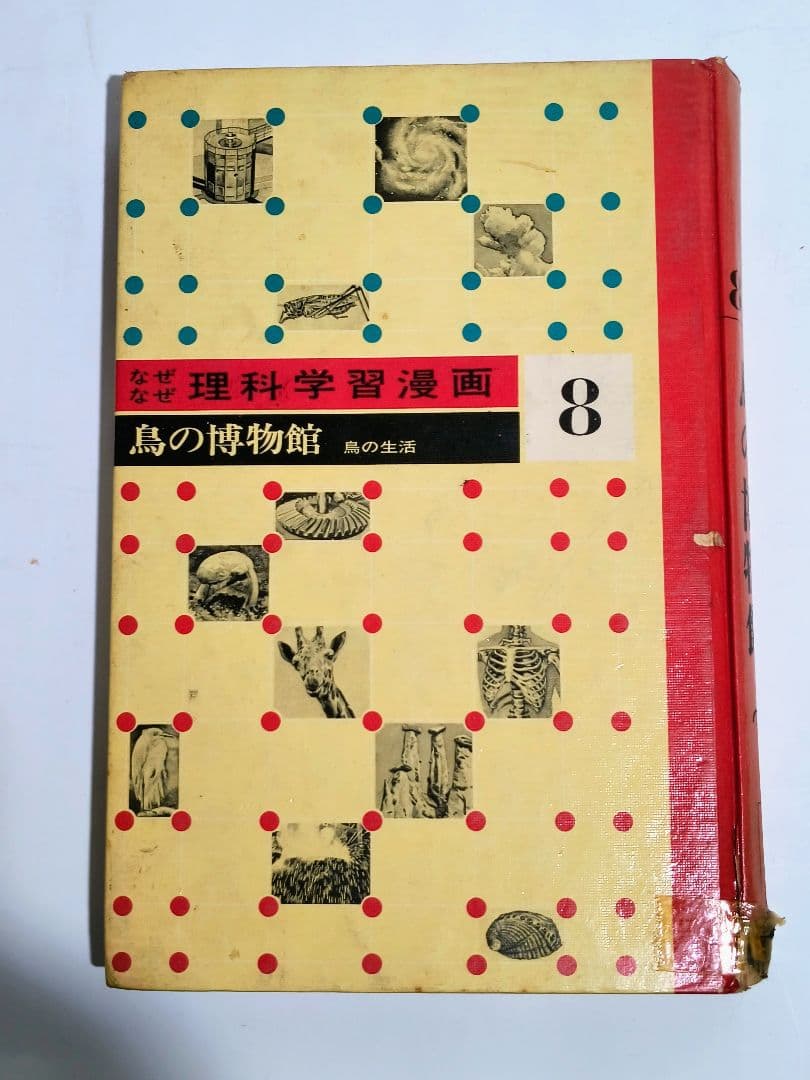 理系脳？「なぜなぜ理科学習漫画」シリーズ　全12巻中11巻 (第4巻が欠落)