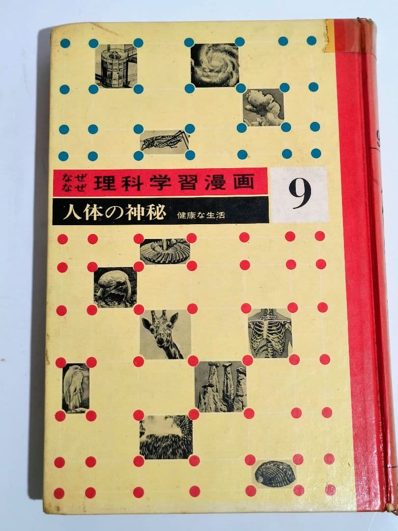 理系脳？「なぜなぜ理科学習漫画」シリーズ　全12巻中11巻 (第4巻が欠落)