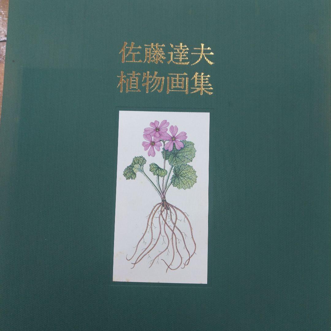 (値下げしました)佐藤達夫 植物画集