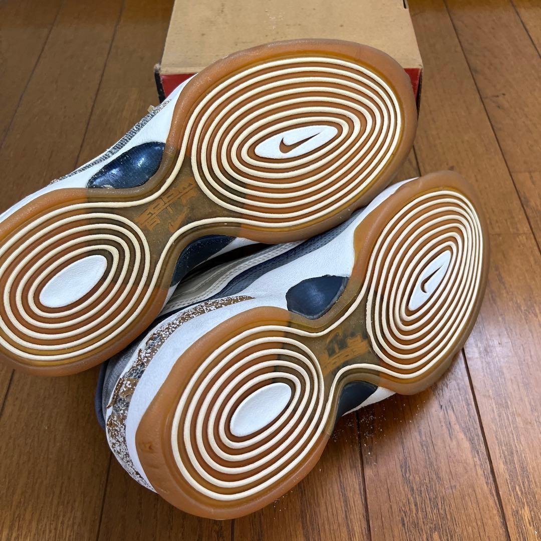【観賞用に】NIKE AIR ZOOM FLIGHT 96