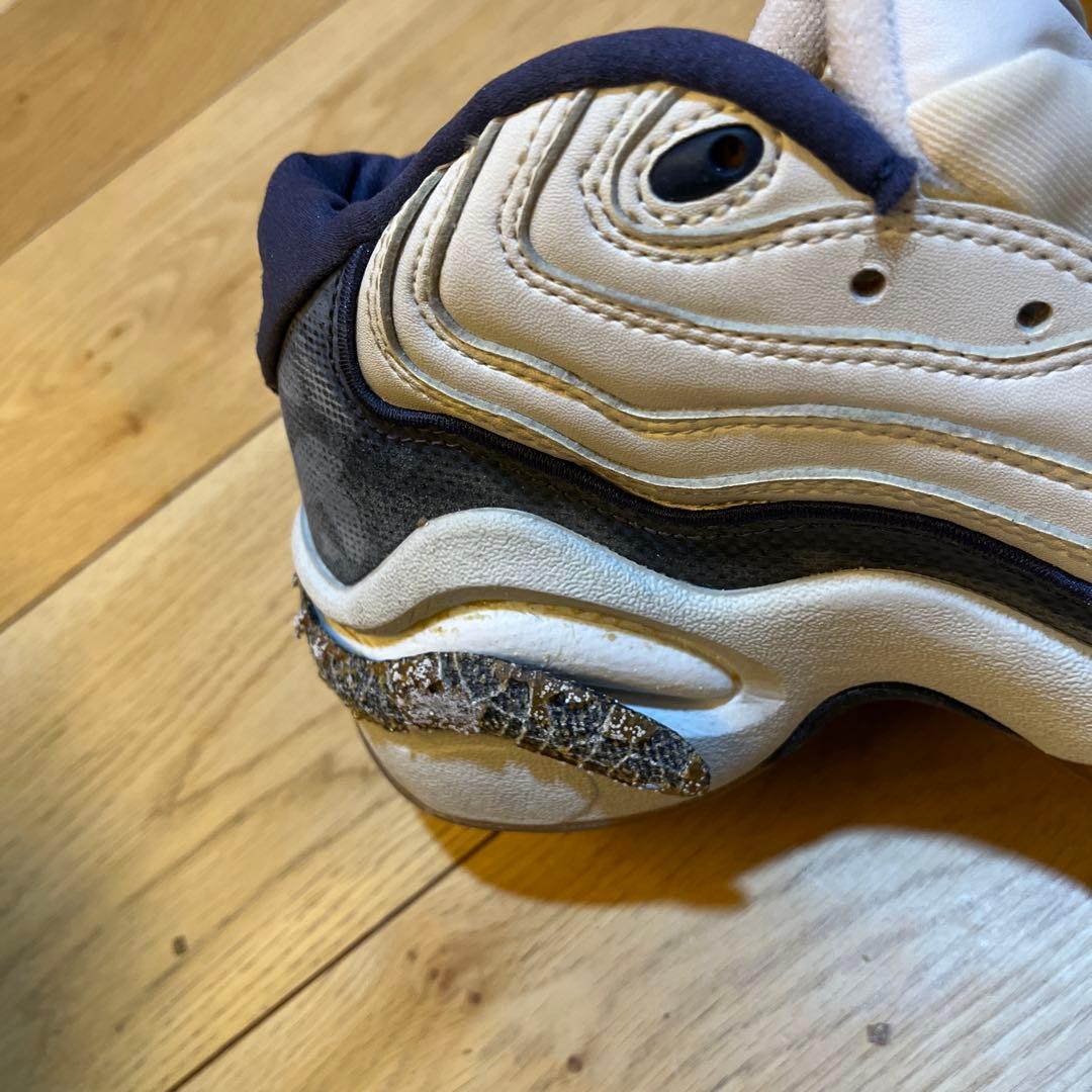 【観賞用に】NIKE AIR ZOOM FLIGHT 96
