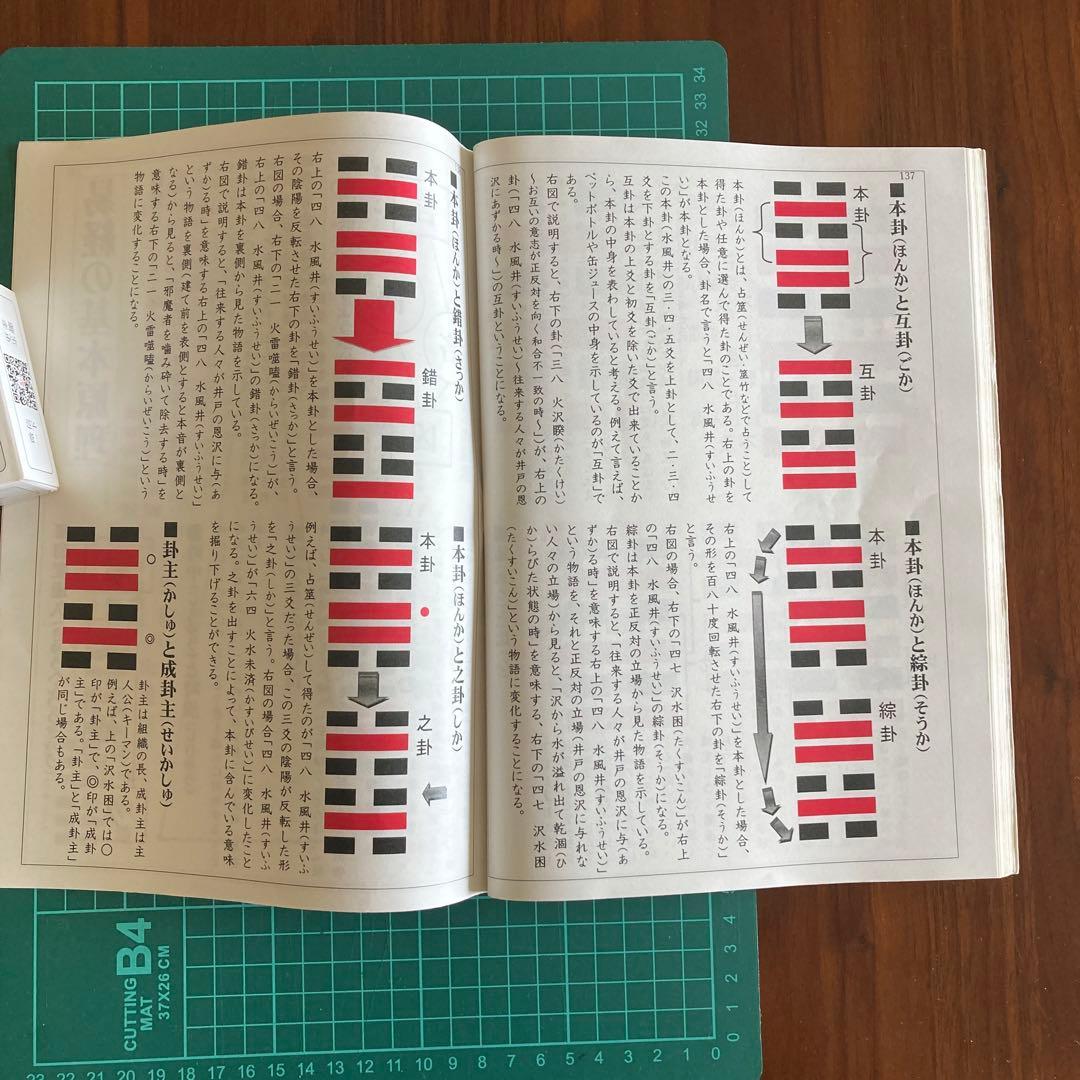 「語呂合わせで学ぶ　易占　易経入門（大判)」六十四卦カード(80枚版) タロット