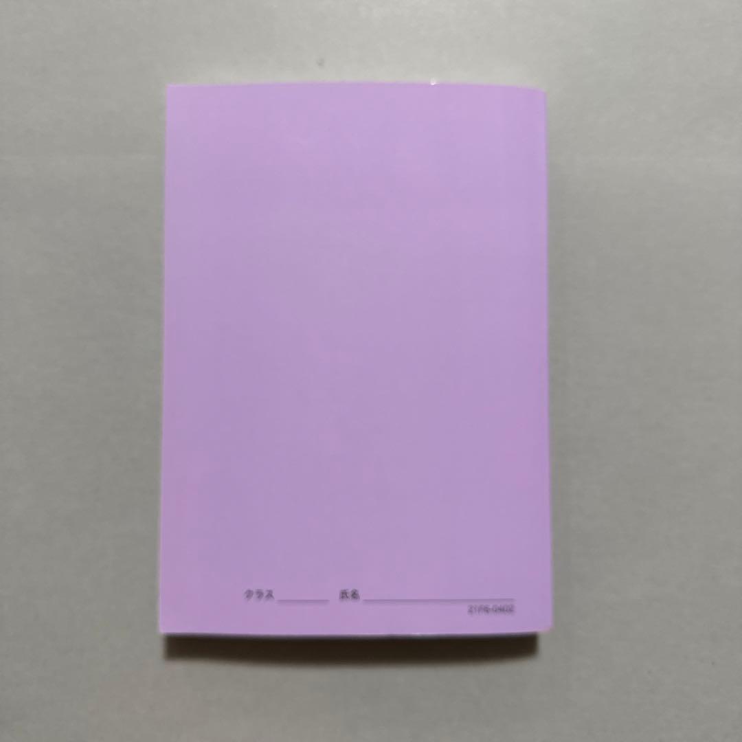 【美品】鉄緑会　高3確認シリーズ　物理