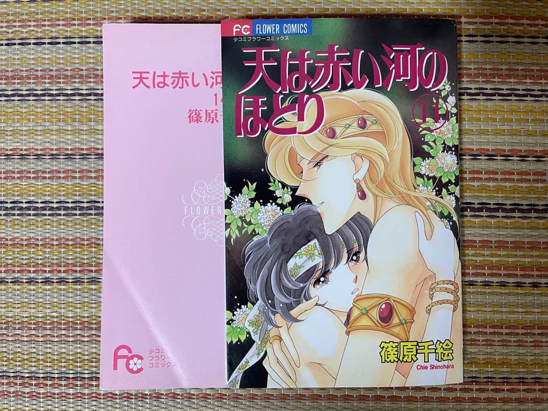 天は赤い河のほとり 全巻 セット 篠原千絵