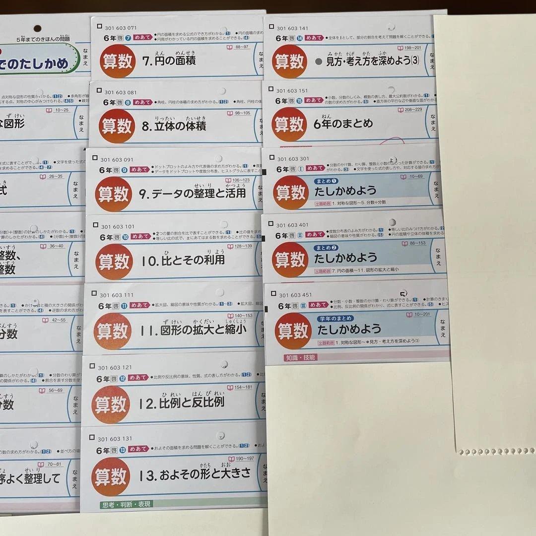 【最新版】小学6年　算数　カラーテスト　令和7年度　１年分