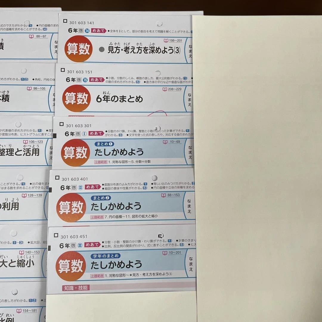 【最新版】小学6年　算数　カラーテスト　令和7年度　１年分