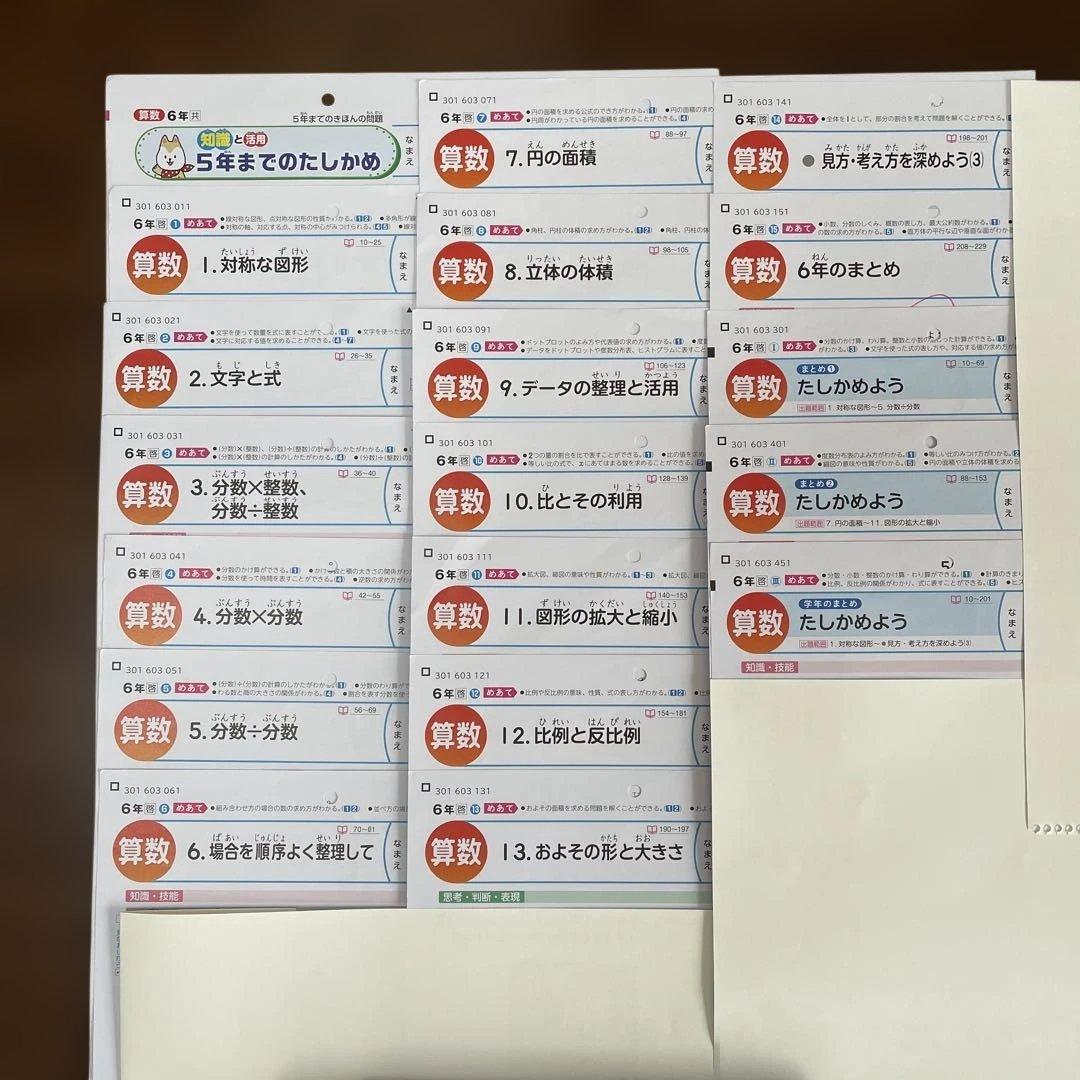 【最新版】小学6年　算数　カラーテスト　令和7年度　１年分