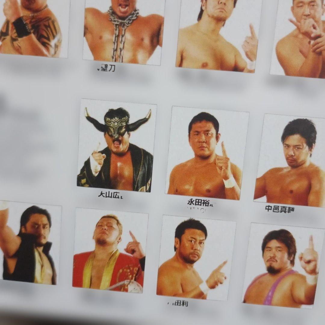 G1 CLIMAX 2008 DVD-BOX〈2枚組〉