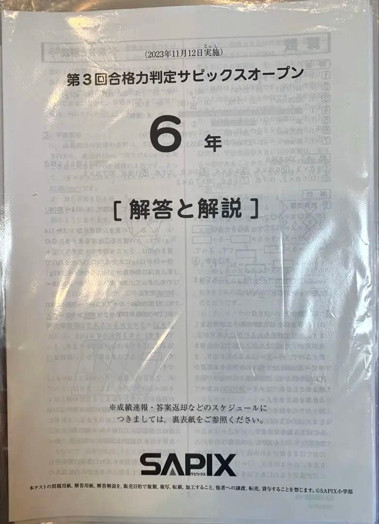 【るりま様】SAPIX 6年生 2023年度 マンスリー・組分け他テストセット