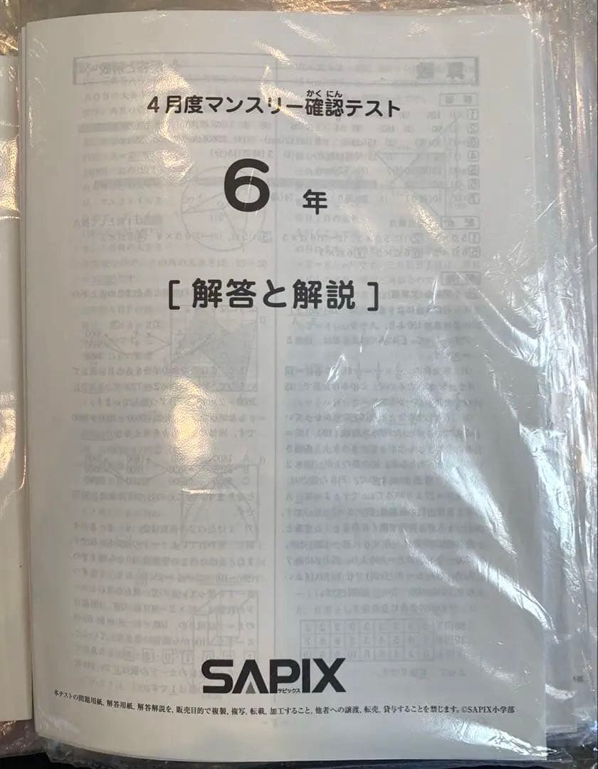 【るりま様】SAPIX 6年生 2023年度 マンスリー・組分け他テストセット