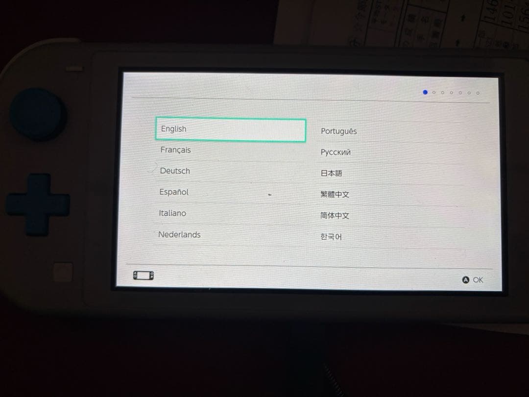 Nintendo Switch Lite ザシアン・ザマゼンダ　本体 充電器