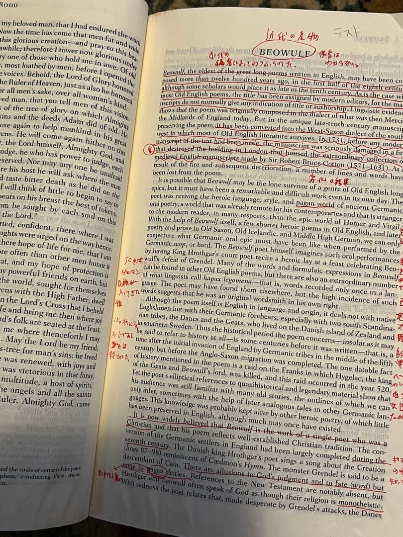 イギリス文学、アメリカ文学、文学批評　　洋書４冊　１冊は新品