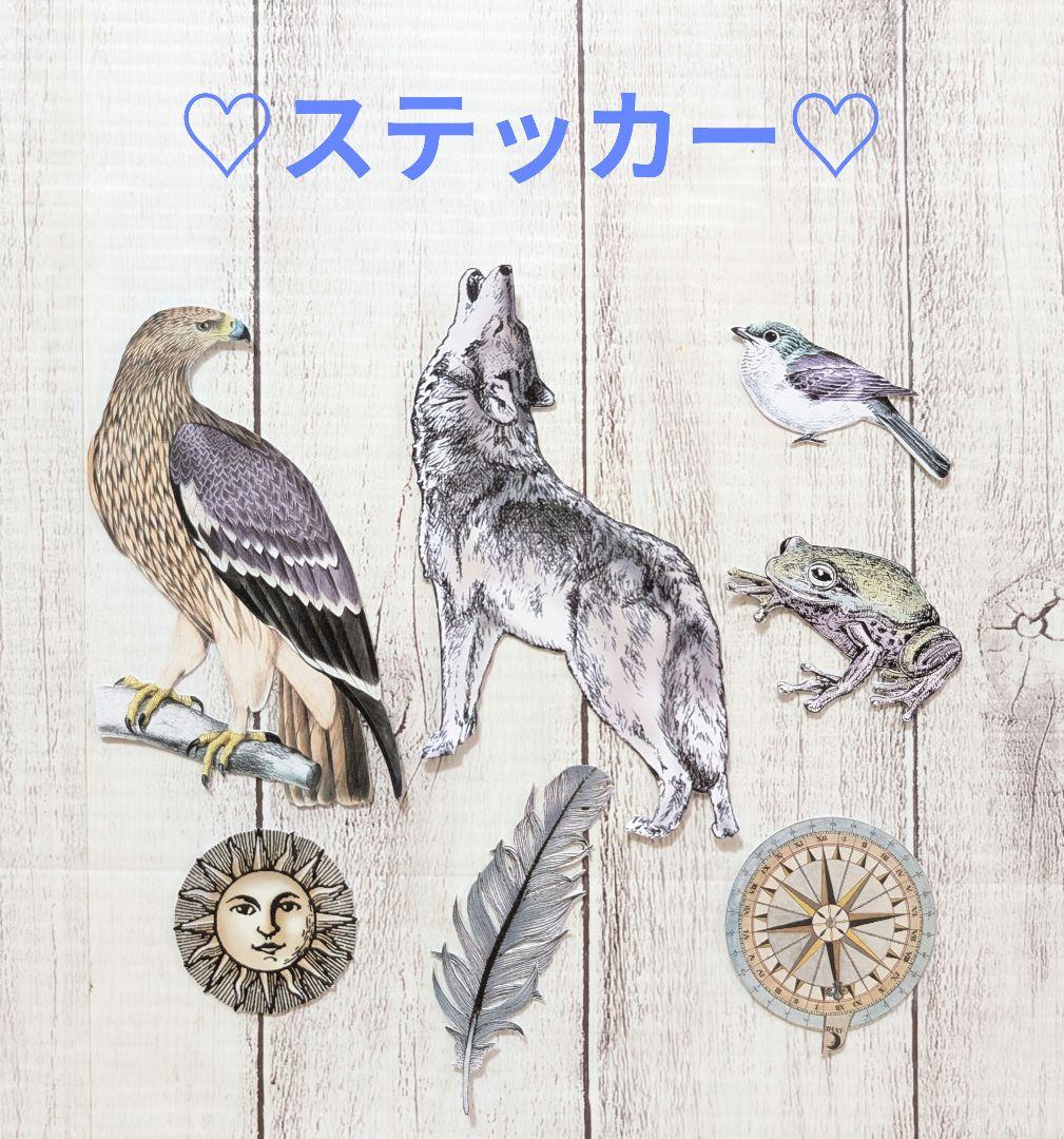 おすそ分けファイル♡ スタンペリア・COSMOS INFINITY♡ A5 再販