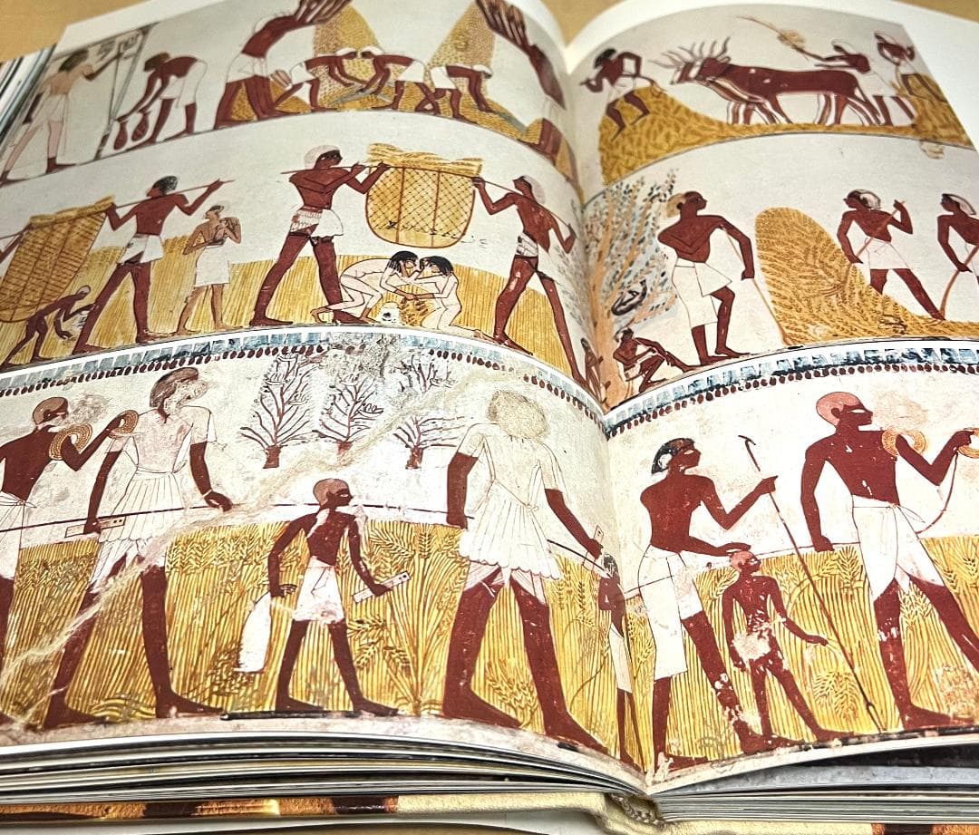 人文 Ancient Egypt: Discovering Its Splendors