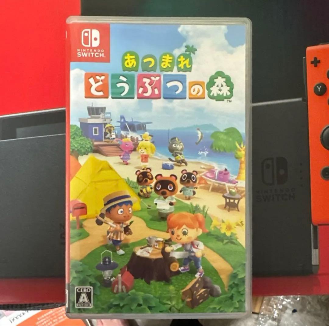 【カセット2個＋ケース＋ジョイコン付き】ニンテンドーSwitch