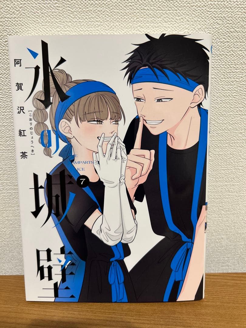 氷の城壁 全10巻セット