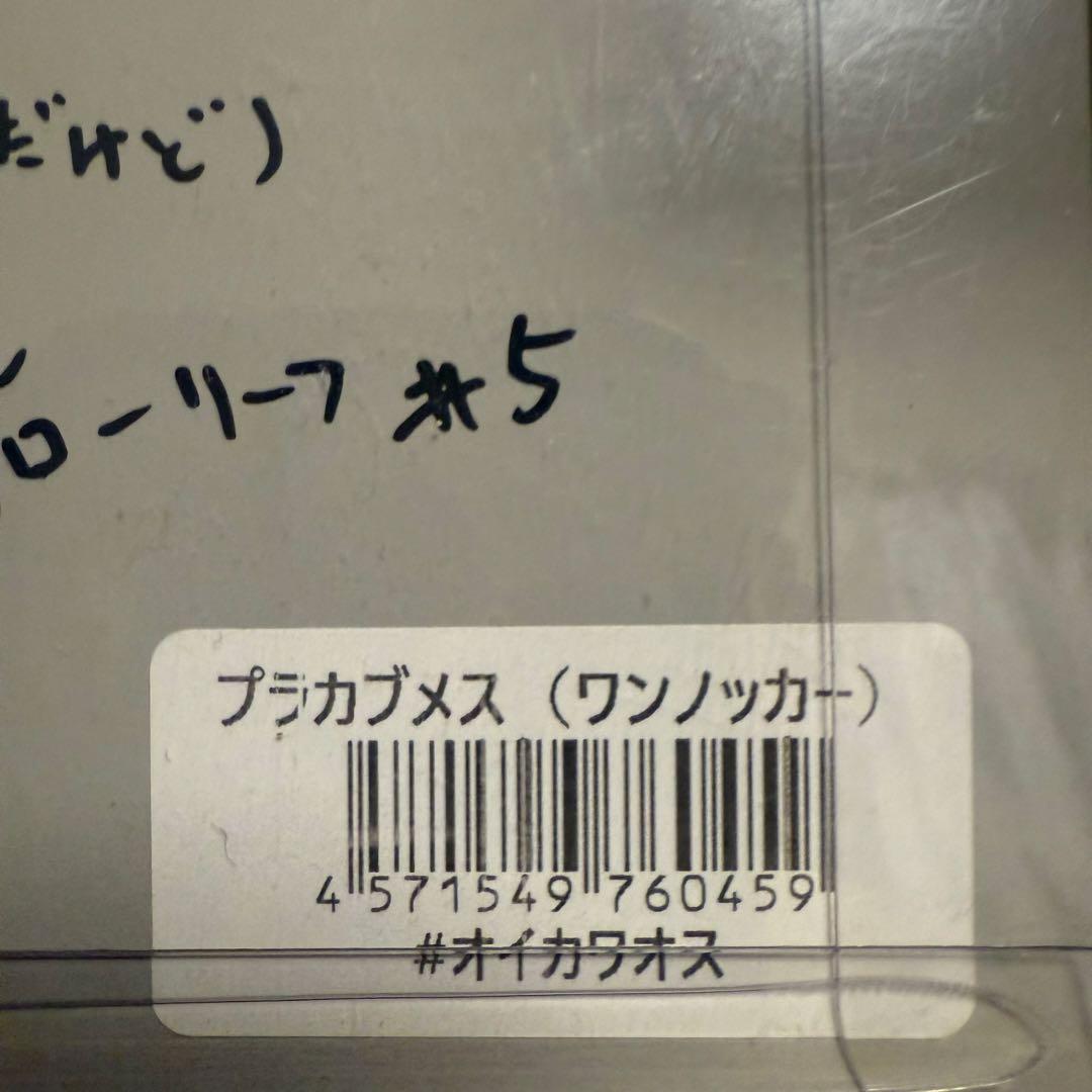 痴虫 チムシ プラカブメス　オイカワメス
