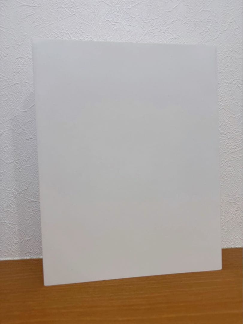 レイアウト展 図録 ポストカードセット　ジブリ　ナウシカ