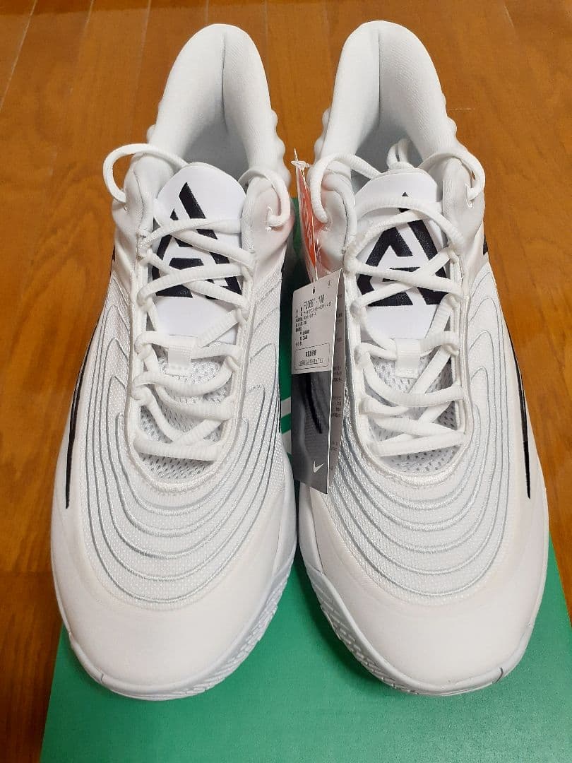 NIKE　ヤニス イモータリティ 4 EP 28.5cm　新品　GIANNIS